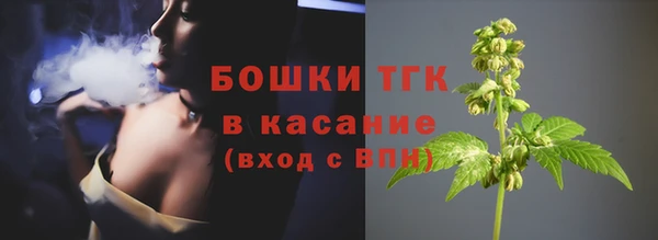 экстази Богородицк