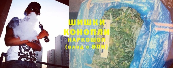 молекула духа Заволжье