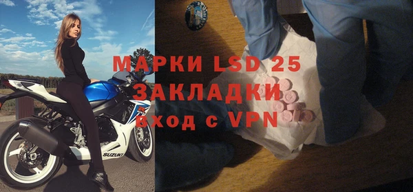 спайс Богданович