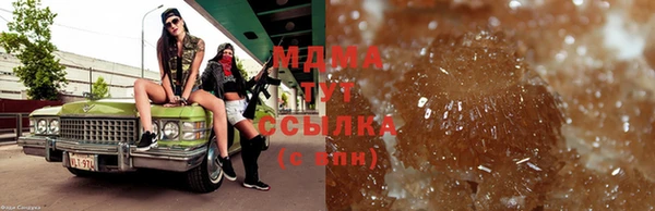 спайс Богданович
