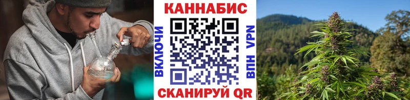Бошки Шишки SATIVA & INDICA цены наркотик Ясногорск